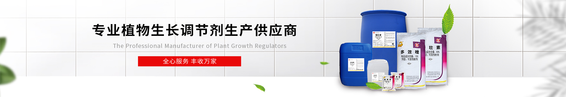 在线留言