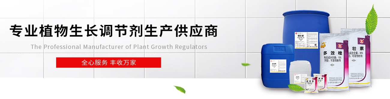 在线留言